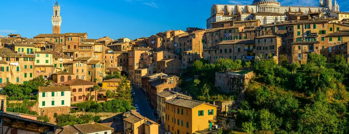 Guided Tour of Siena's Historical Centre and Cathedral