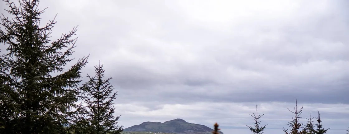 Island of Arran Day Tour from Glasgow