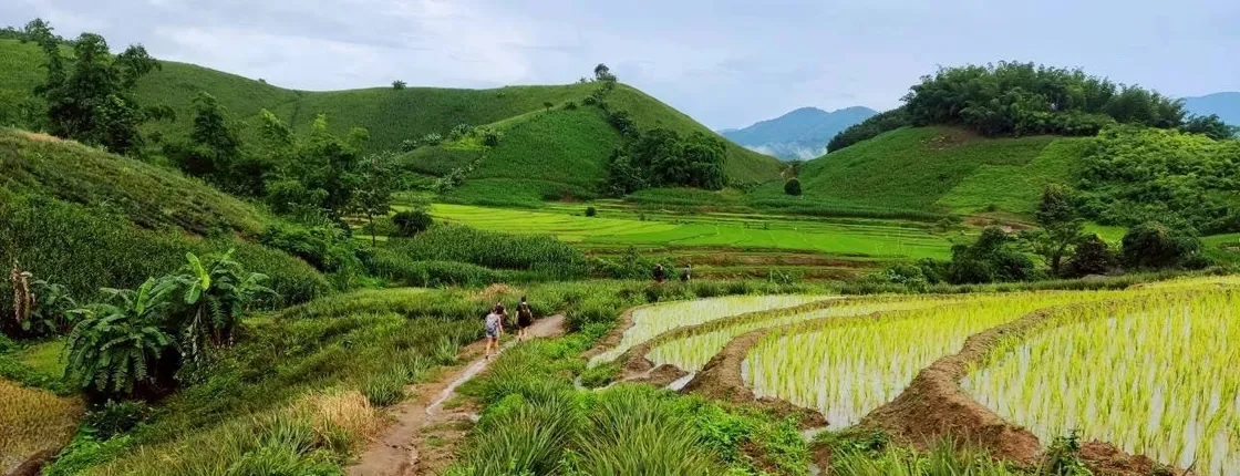 One-day trekking and Karen Village