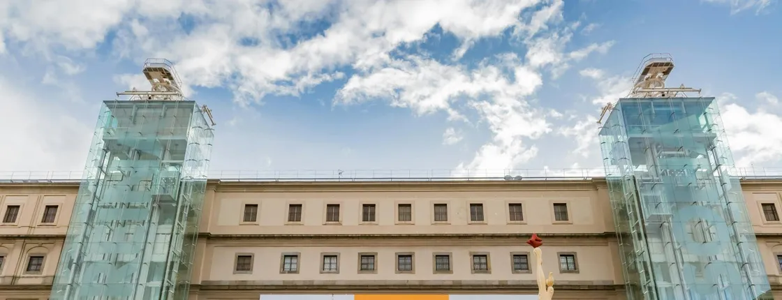 Reina Sofia Museum private tour with local guide