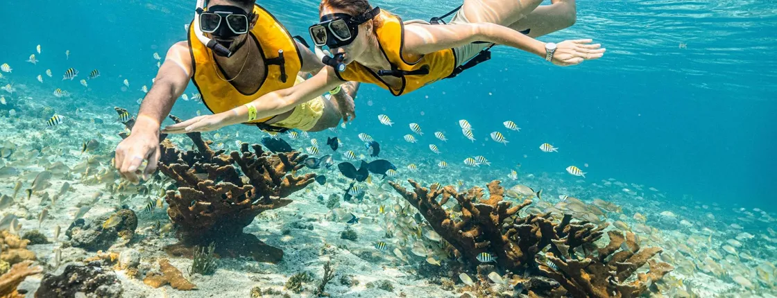 Snorkelling experience for non-swimmers in Cancun