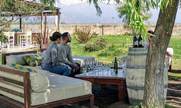 Uco Valley Wineries Day with Private Driver