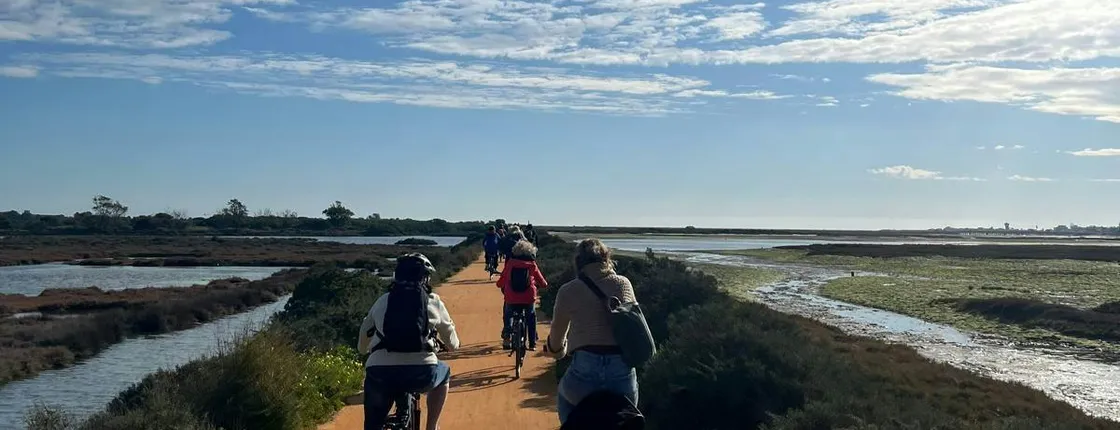 Guided bike tour through Ria Formosa Natural Park