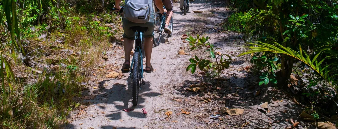 Zanzibar Masingini Forest full-day biking and walking tour