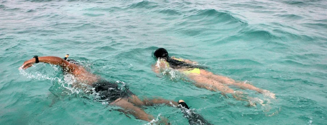 Boa Vista snorkelling experience with optional transport