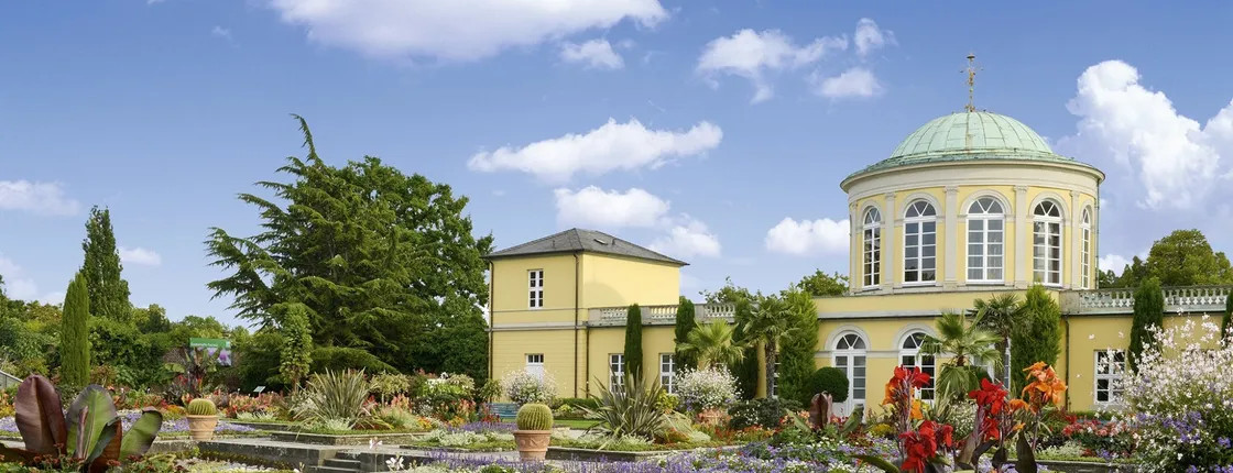 Hanover's Berggarten Tour with a German-Speaking Guide