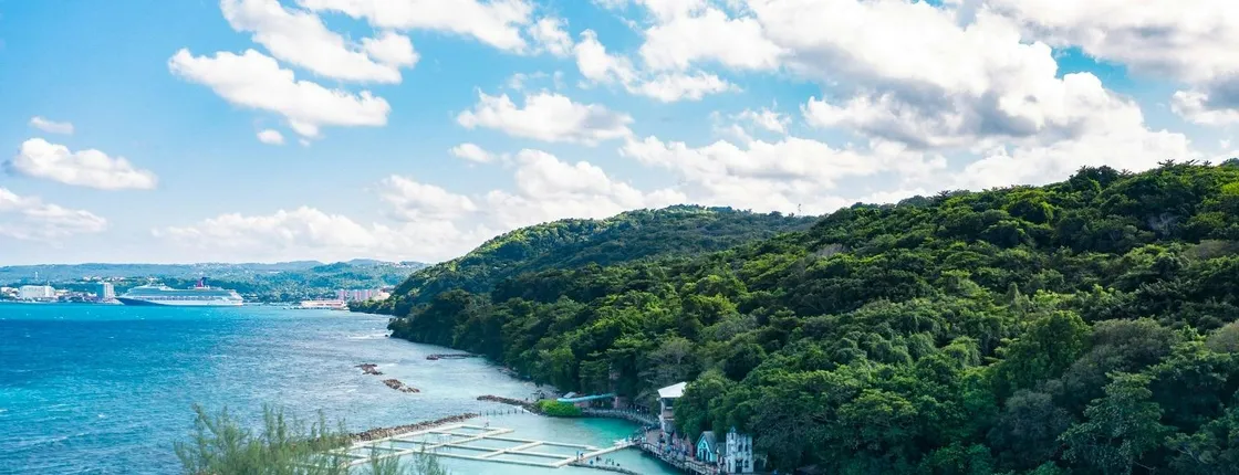 Dolphin Cove Ocho Rios regular tour
