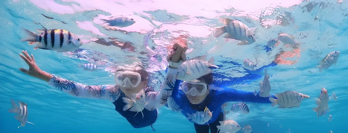 Blue Lagoon snorkeling and Tegenungan waterfall visit 1-day tour