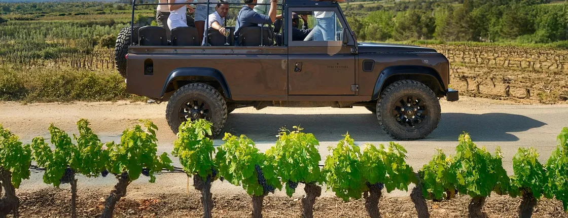 Penedés wine and cava tasting with transport from Barcelona