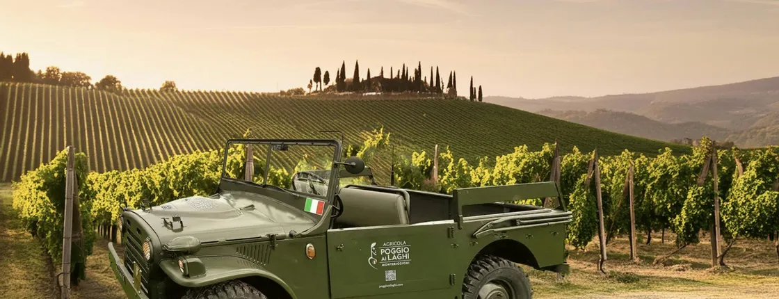 Wine Safari Poggio ai Laghi Vineyard On a Vintage Off-Road