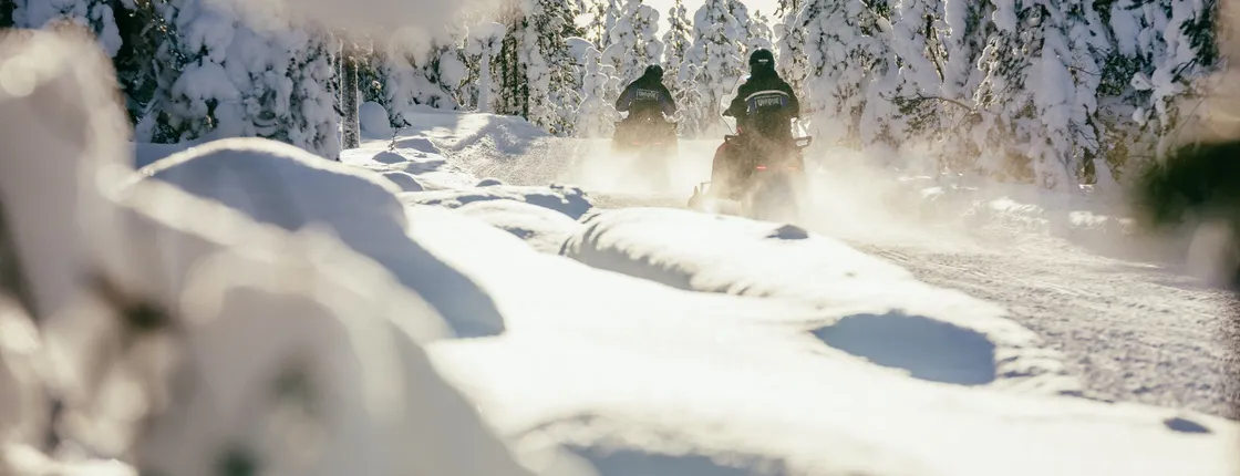 3-hour snowmobile adventure in Levi