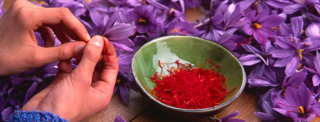 Guided Tour of a Saffron Laboratory with Tasting in Olmedo