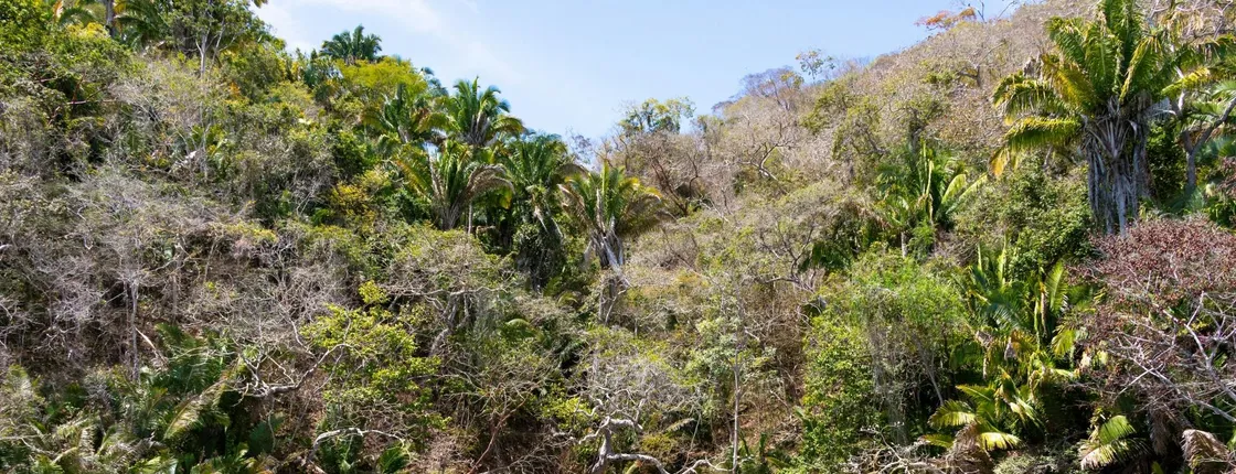 Yelapa & Majahuitas Beach Boat Cruise Ticket