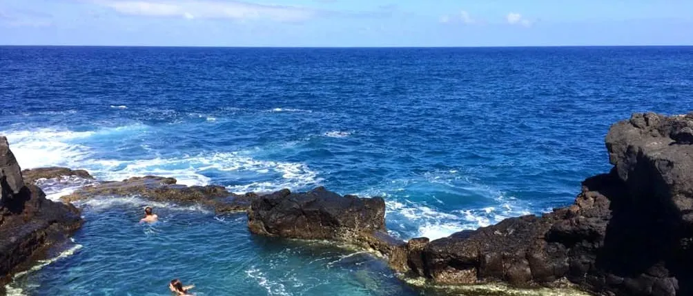 Tour of La Palma's Botanical North