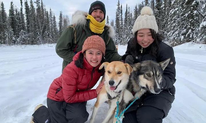 Dog Sledding and Mushing Experience in North Pole