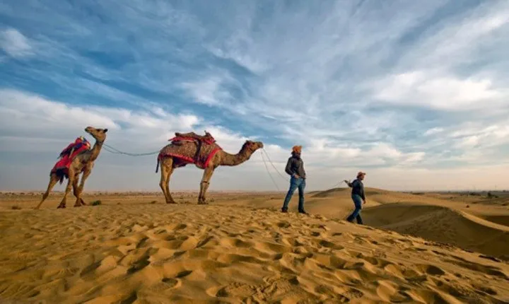 Desert Camel Safari Day Tour In Jodhpur 