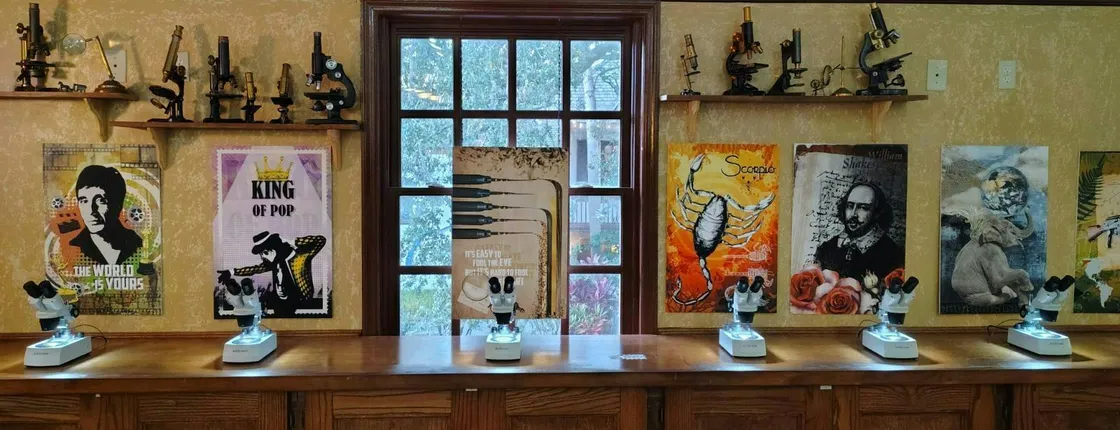 Tiny Art Museum entrance ticket