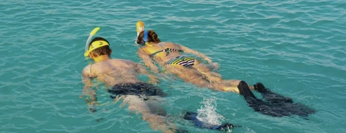 Snorkelling tour at Playa de Los Cancajos with professional guides
