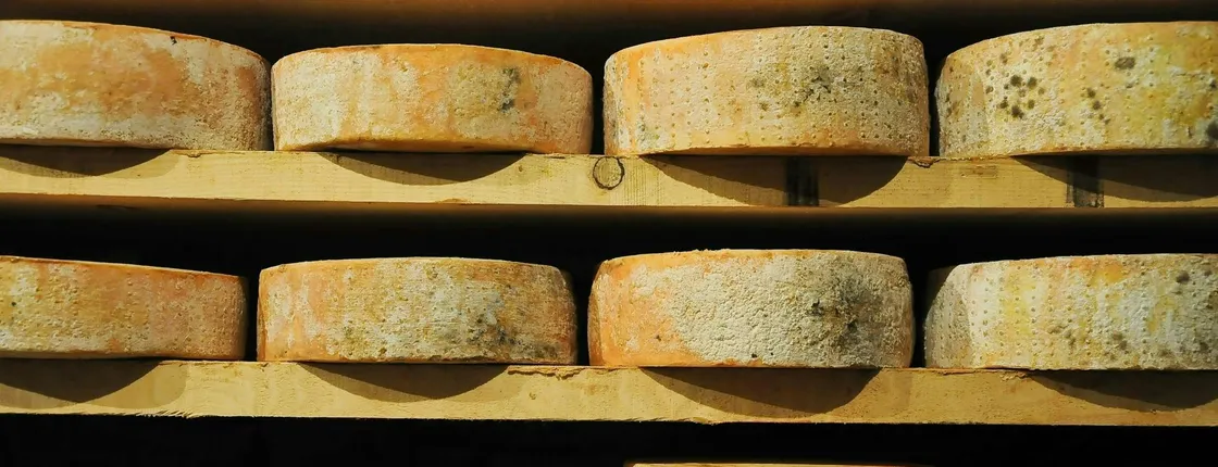Guided Walking Tour to Discover Innsbruck Food Culture