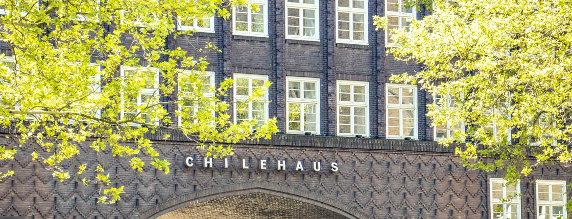 Guided tour to Hamburg's photogenic places with a local