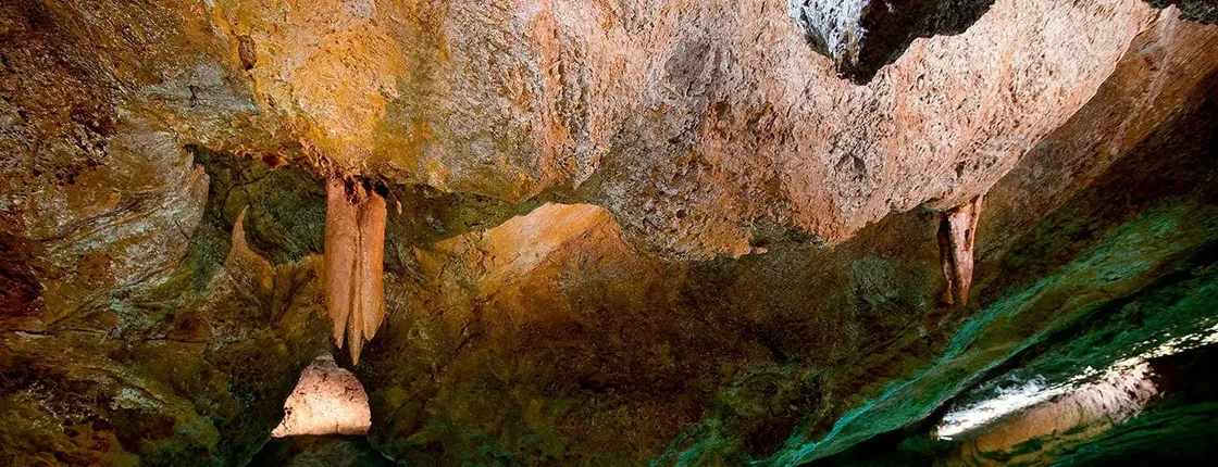 Guided tour from Valencia to San José Caves