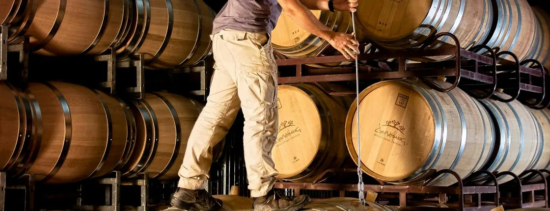 Guided tour of the Douloufakis Winery with estate-crafted wine tasting