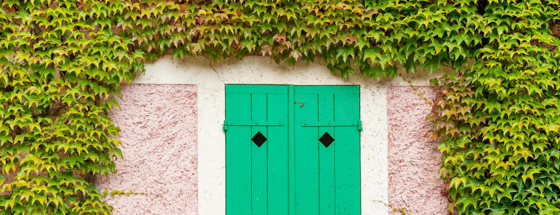 Half-Day Guided Tour of Monet's House in Giverny from Paris