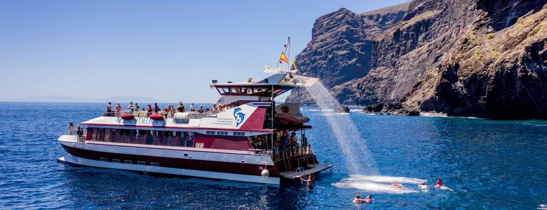 Three-hour Royal Delfín Whale & Dolphin Watching Cruise