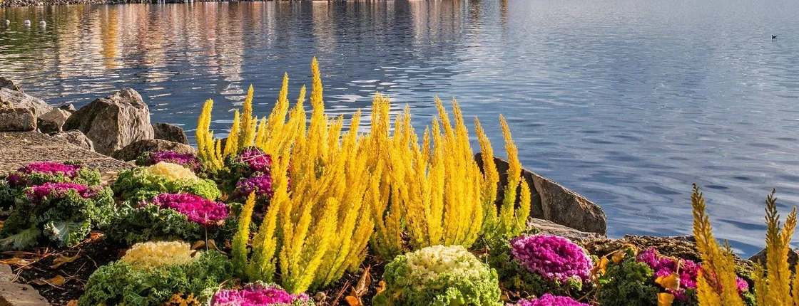 Montreux private walking tour