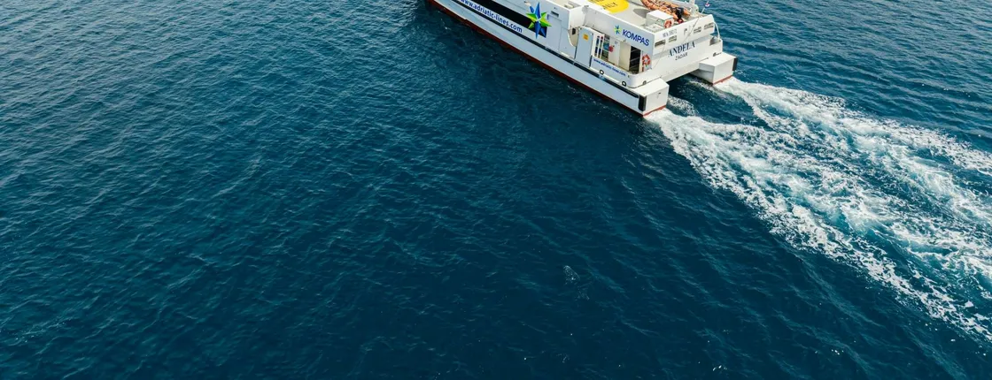 Full-day tour in Montenegro's Kotor from Dubrovnik with ferry ride