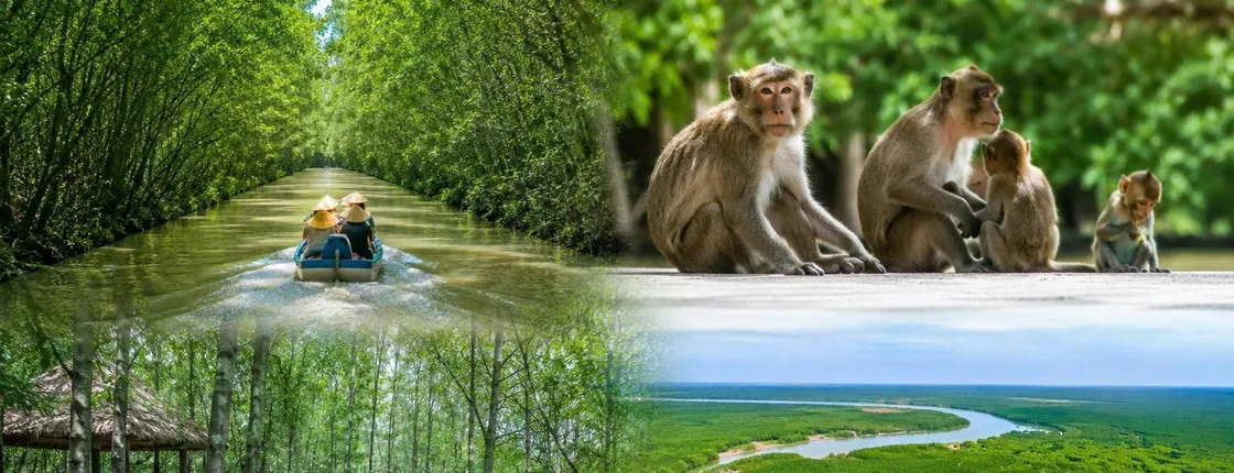 Can Gio mangrove forest and Monkey Island private tour