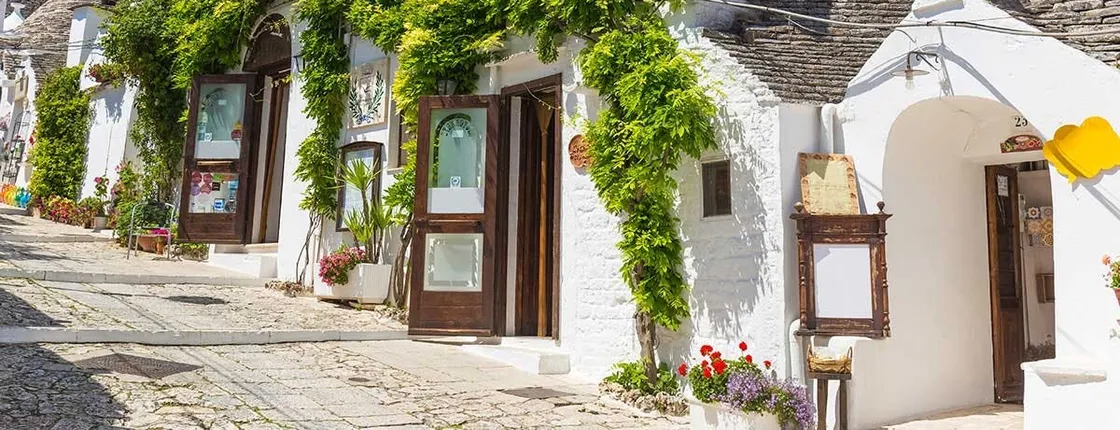 Visit Polignano a Mare and Alberobello from Bari