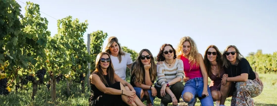 Afternoon wine tour to Saint-Emilion