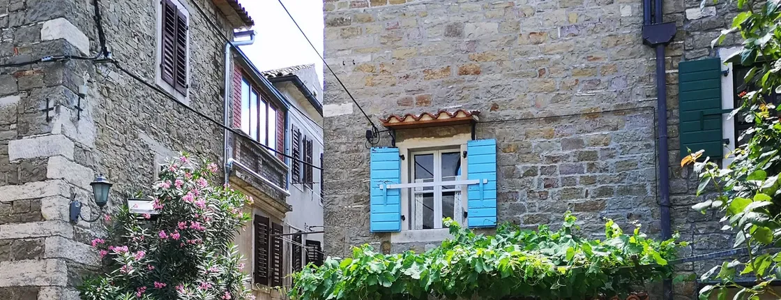 Istrian hilltop villages tour with local speciality tasting