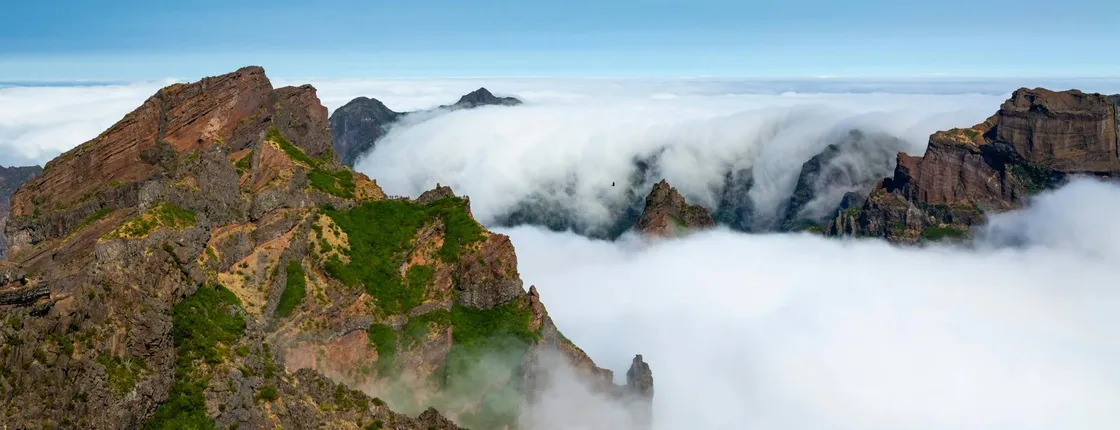 Full-day private eastern Madeira highlights tour with lunch