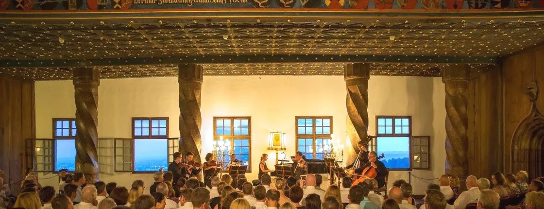 Cruise on the Salzach and Best of Mozart concert with dinner