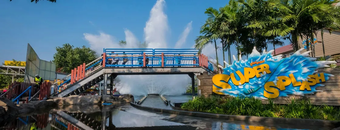 Dream World Theme Park with Transfer