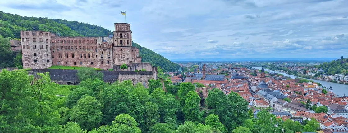 Heidelberg Castle and old town tour with Königstuhl viewpoint