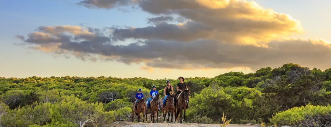 Rancho Grande horse riding or wagon ride with BBQ and transfer