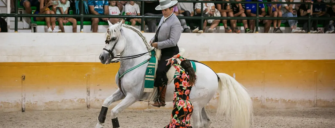 Andalusian horse flamenco show in Torremolinos