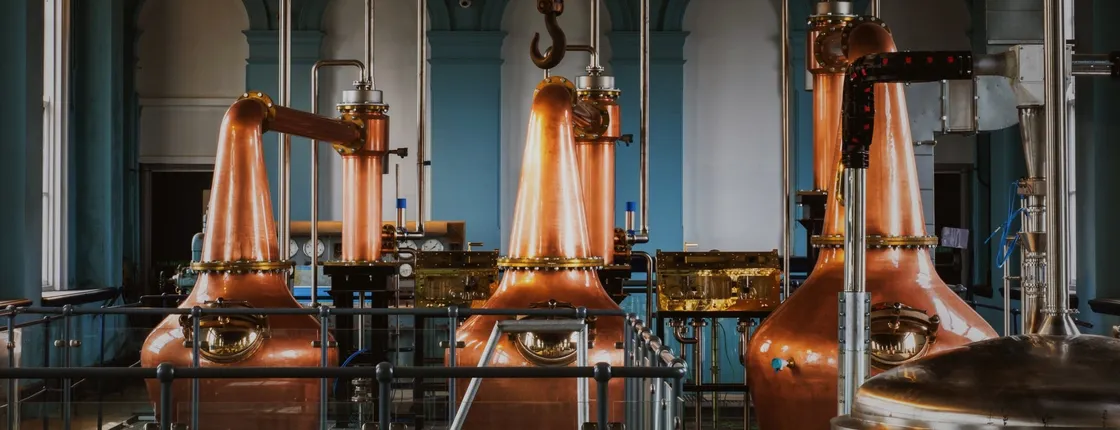 Giants Causeway and Bushmills Distillery Whiskey tasting from Belfast