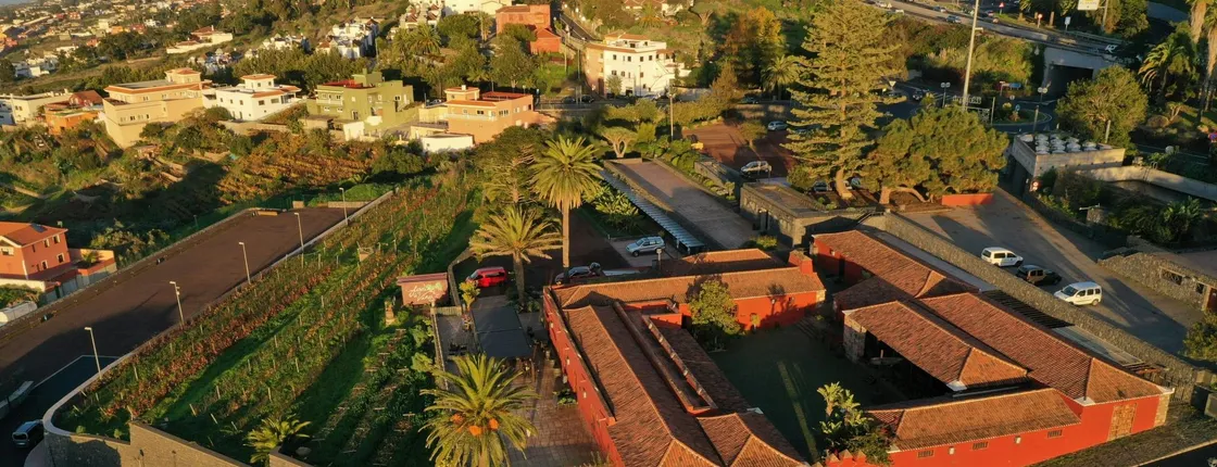 Wine Museum tickets and Malvasia tasting