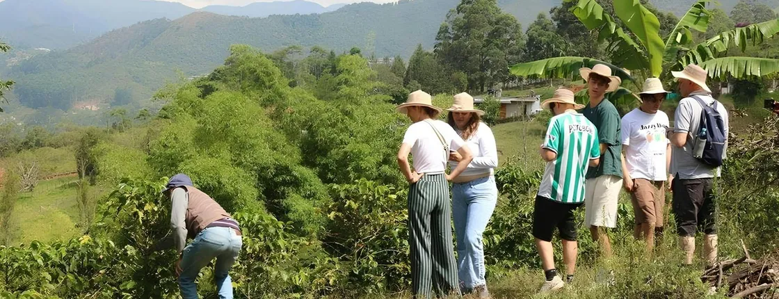 Traditional Colombian coffee tour from Salento