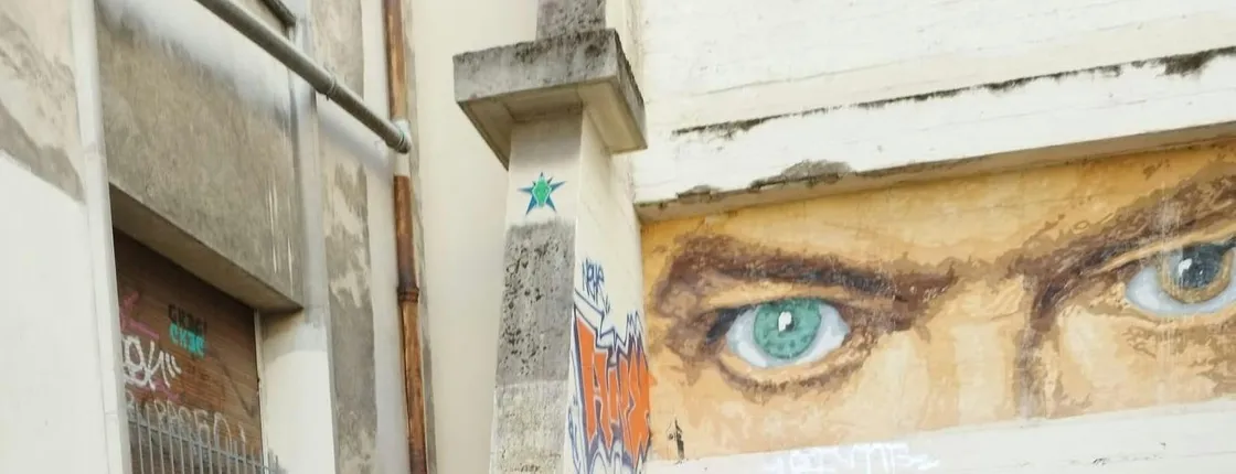 Street Art guided tour in Croix-Rousse