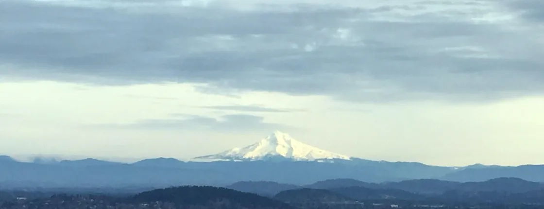 Discover Portland half-day small-group city tour