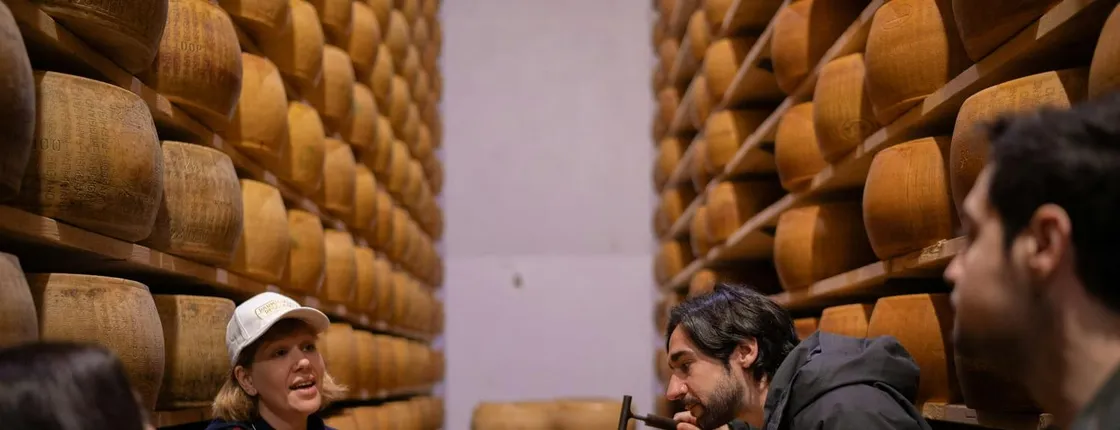 Factory tasting, wines and traditional lunch