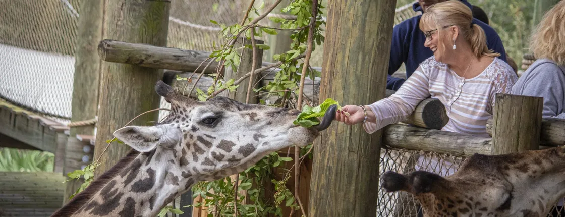 Admission to Brevard Zoo in Melbourne