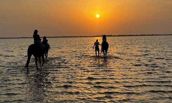 Private Horse Riding Experience at Red Sea