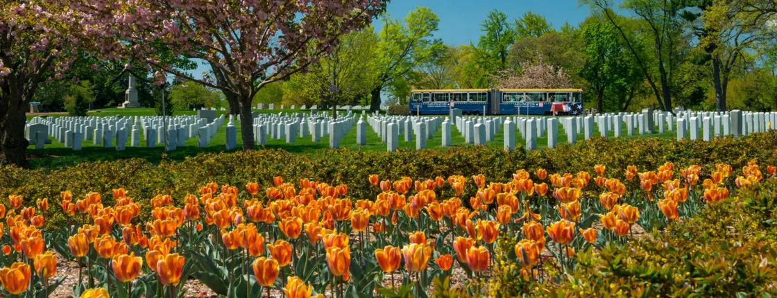 Arlington National Cemetery tour