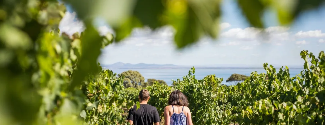 Guided tour around Melbourne Bay with food and wine trail